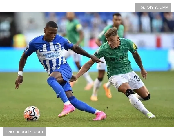 恩佐 vs 麦卡利斯特：世界杯中场组织与覆盖能力对比分析